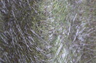 Gamlingay Cinques fibreglass roof work